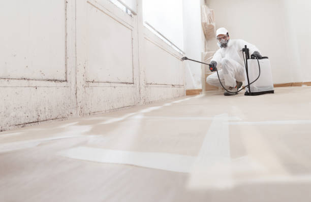 24/7 Emergency Basement Mold Removal experts in Bonlee, NC